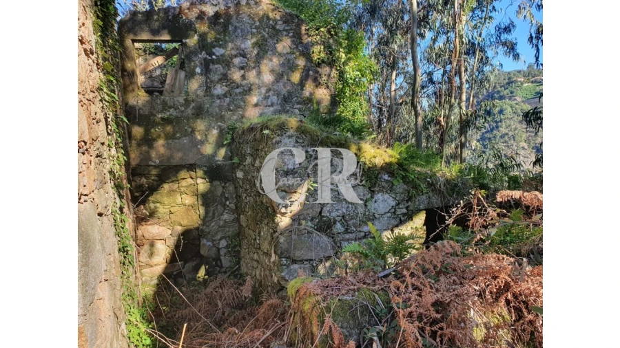 Terreno para Venda em Pedrogão Grande Foto 11