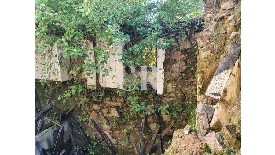 Terreno para Venda em Pedrogão Grande Foto 5