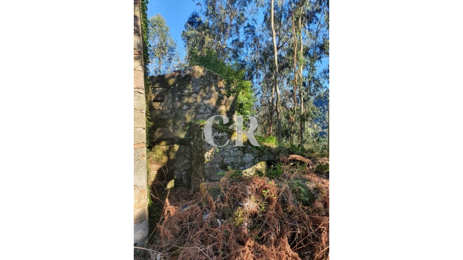 Terreno para Venda em Pedrogão Grande Foto 4