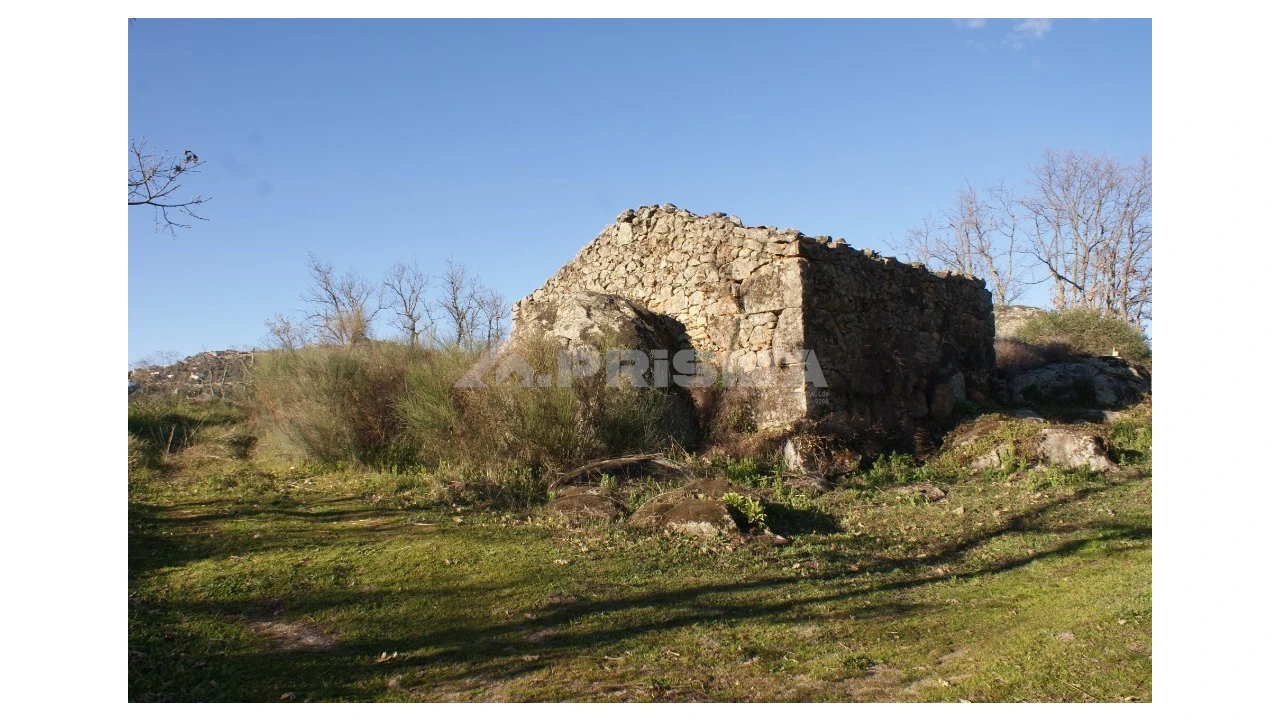 Terreno para Venda em Penamacor Foto 8
