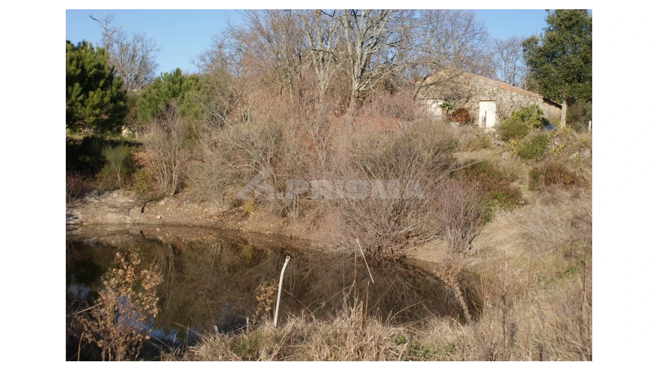 Terreno para Venda em Penamacor Foto 27