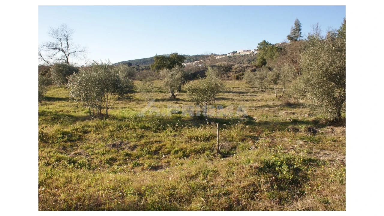 Terreno para Venda em Penamacor Foto 35