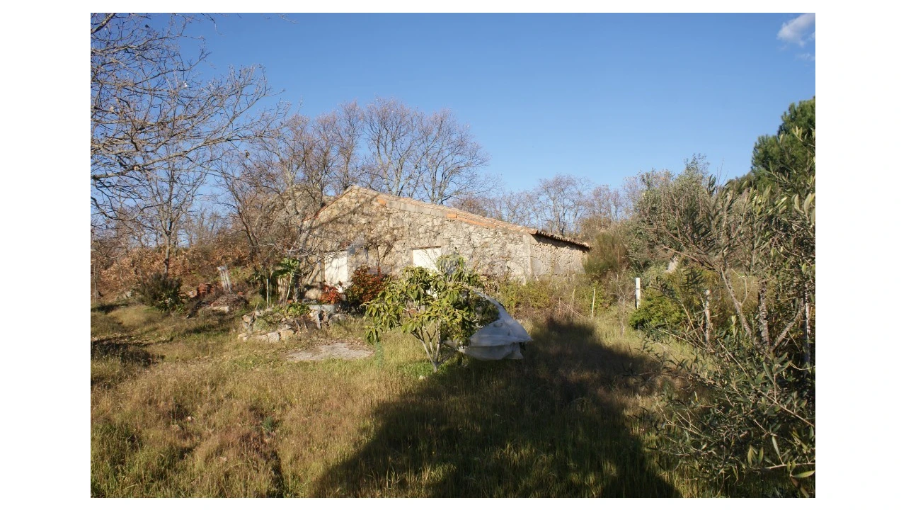 Terreno para Venda em Penamacor Foto 30