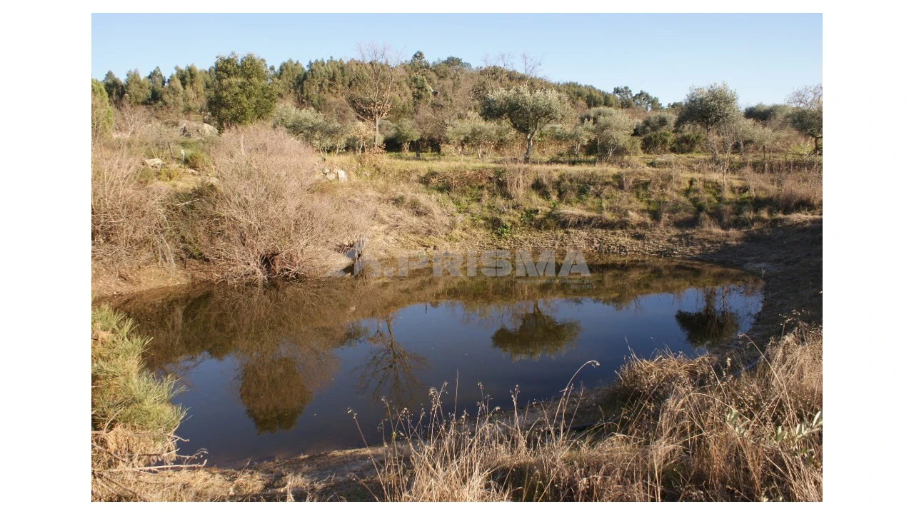 Terreno para Venda em Penamacor Foto 25