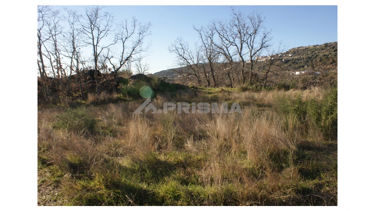 Terreno para Venda em Penamacor Foto 46