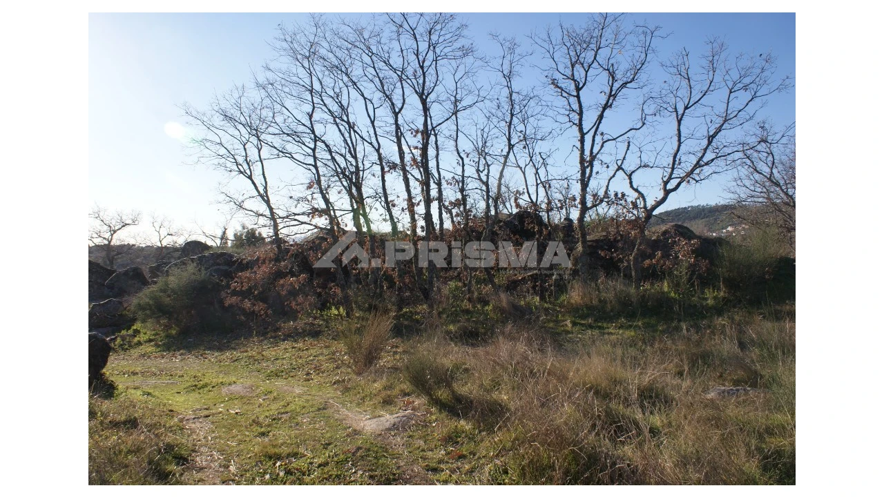 Terreno para Venda em Penamacor Foto 7