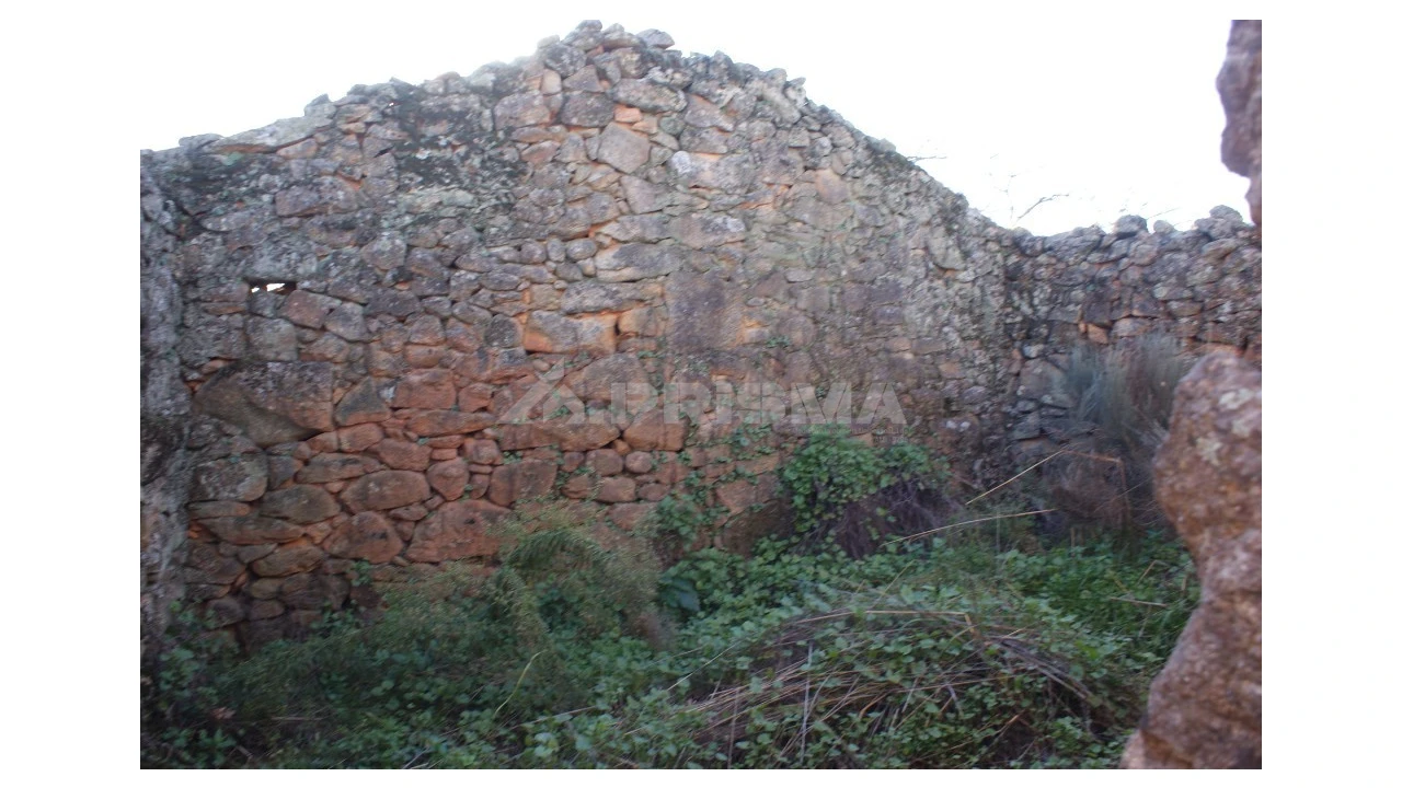 Terreno para Venda em Penamacor Foto 11