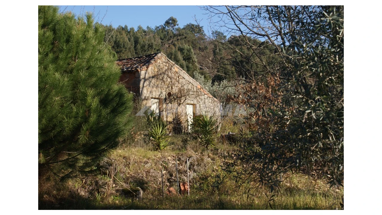 Terreno para Venda em Penamacor Foto 24