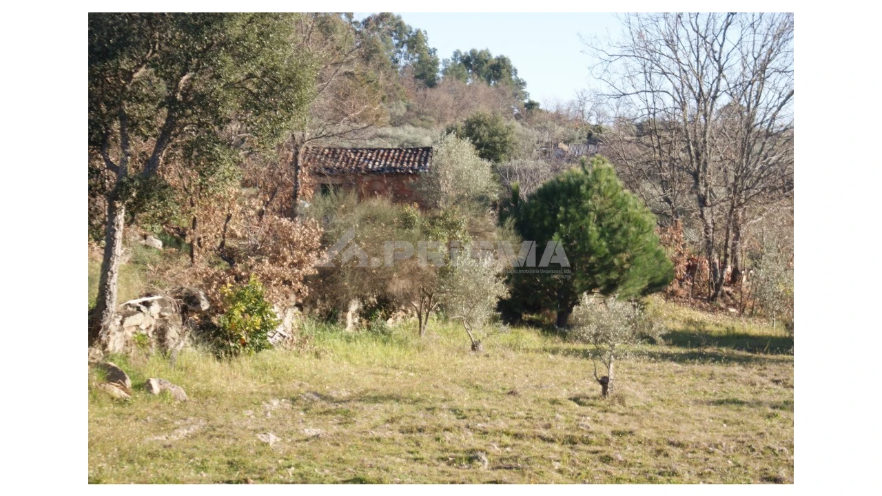 Terreno para Venda em Penamacor Foto 23