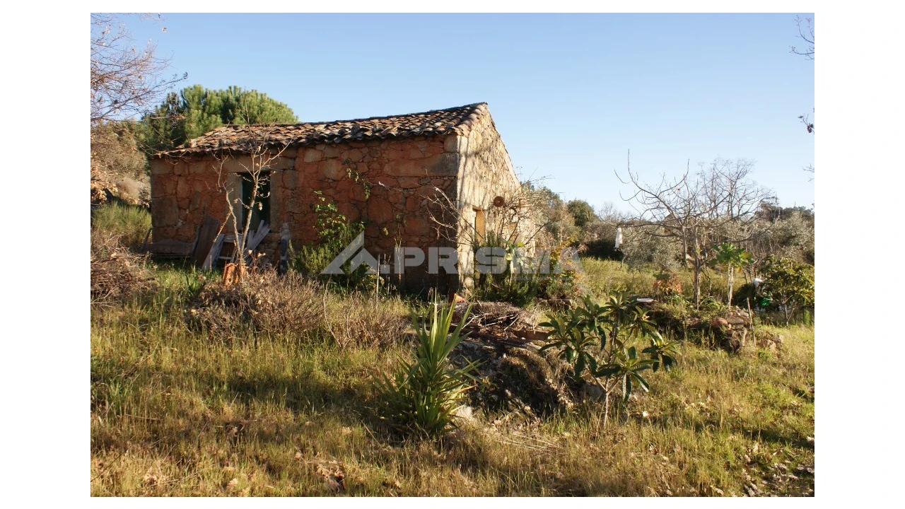 Terreno para Venda em Penamacor Foto 33
