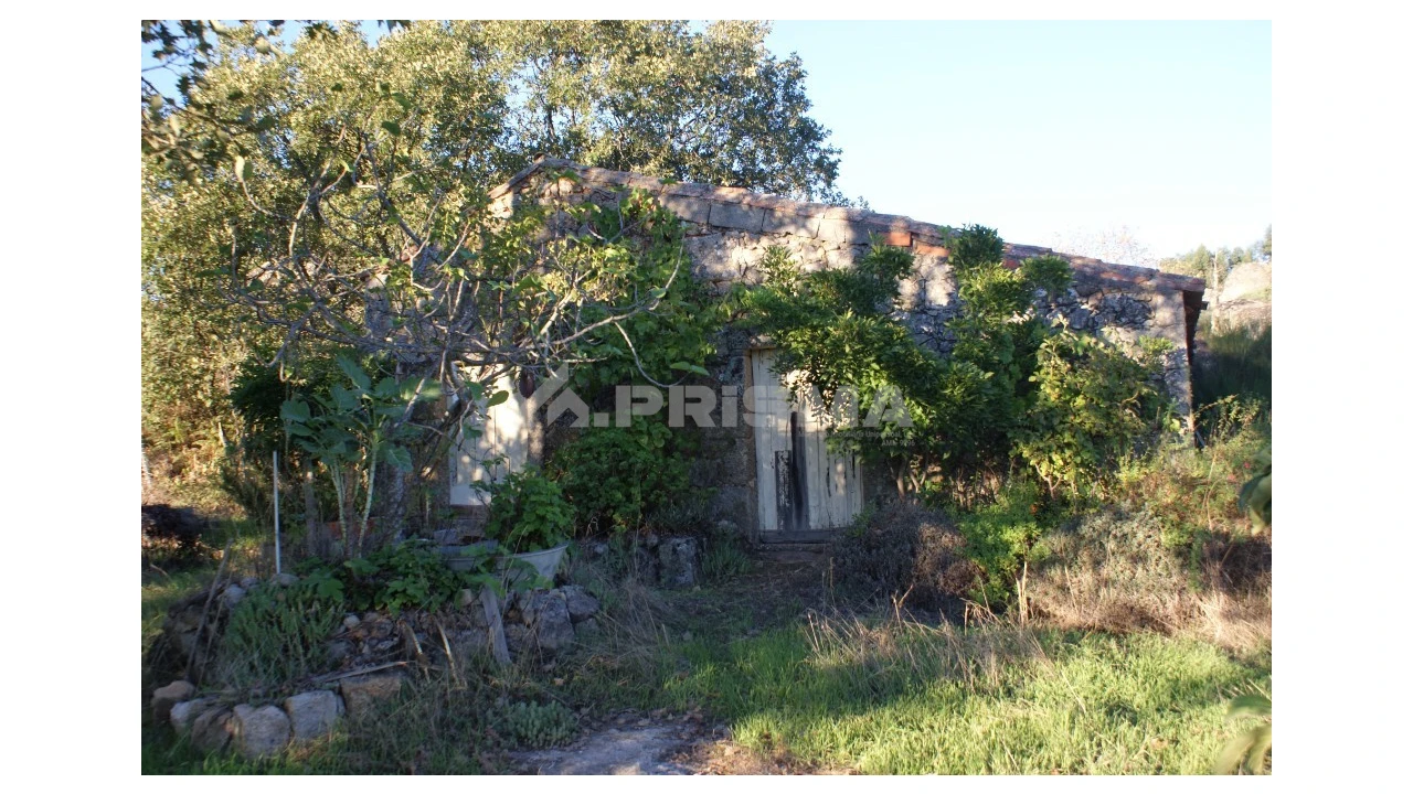 Terreno para Venda em Penamacor Foto 6
