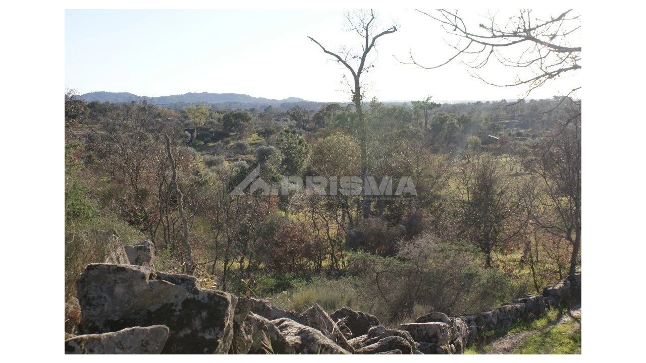 Terreno para Venda em Penamacor Foto 45