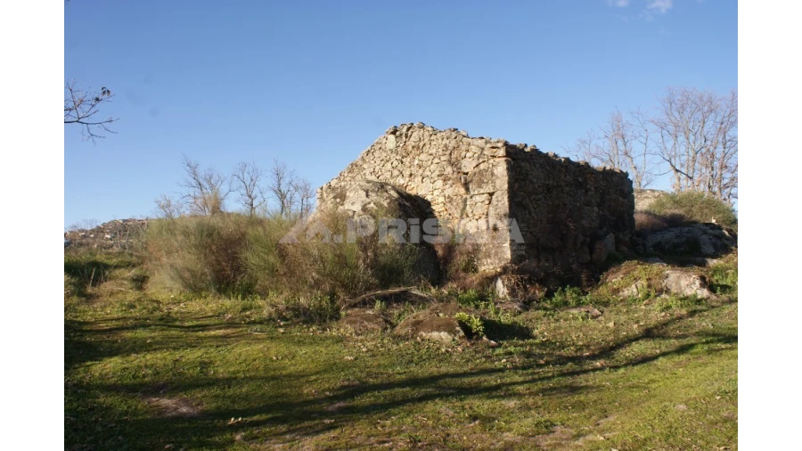 Terreno para Venda em Penamacor Foto 8