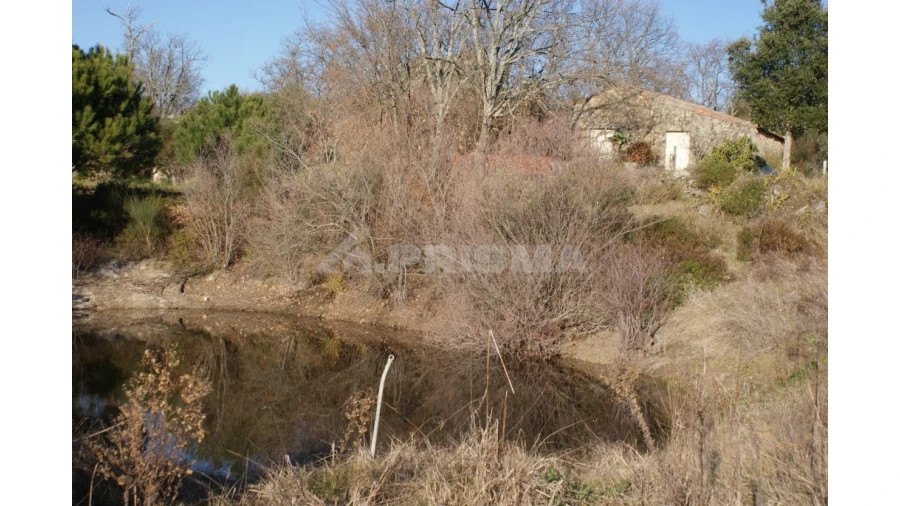 Terreno para Venda em Penamacor Foto 27