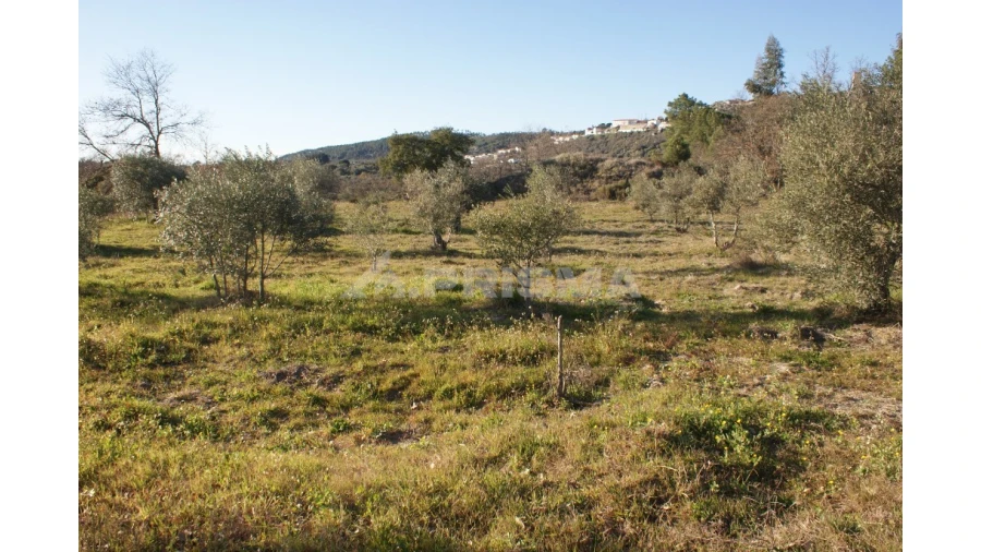 Terreno para Venda em Penamacor Foto 35