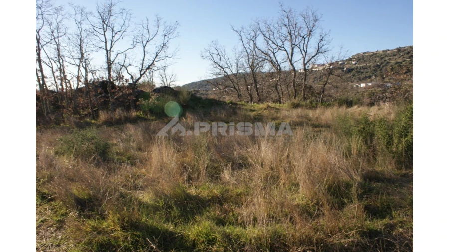 Terreno para Venda em Penamacor Foto 46