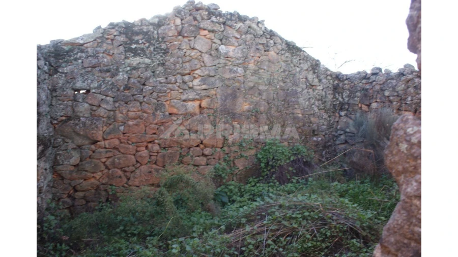 Terreno para Venda em Penamacor Foto 11