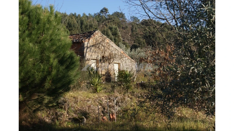Terreno para Venda em Penamacor Foto 24