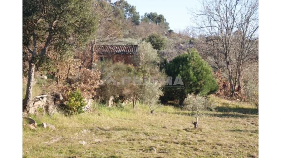 Terreno para Venda em Penamacor Foto 23