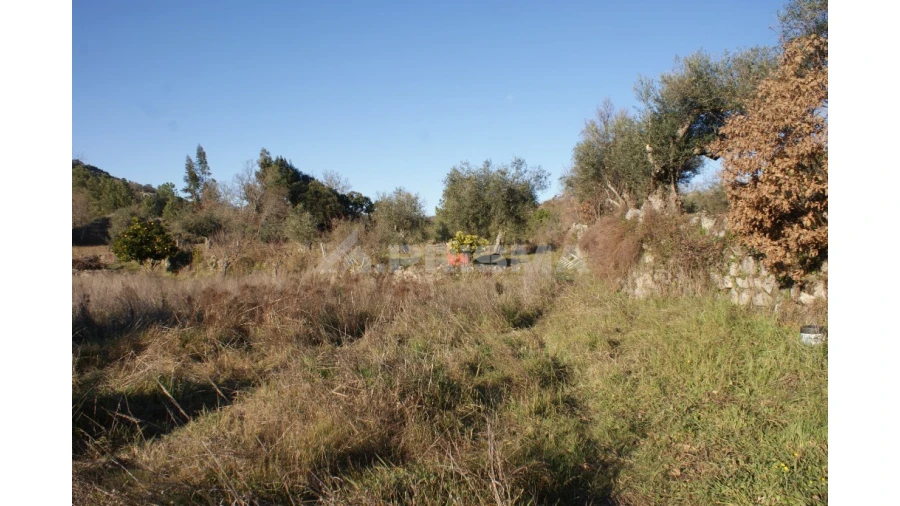Terreno para Venda em Penamacor Foto 38