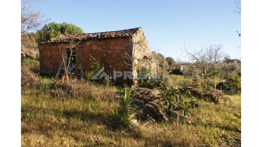Terreno para Venda em Penamacor Foto 33