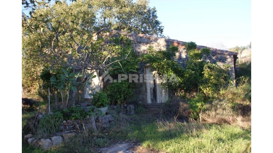 Terreno para Venda em Penamacor Foto 6