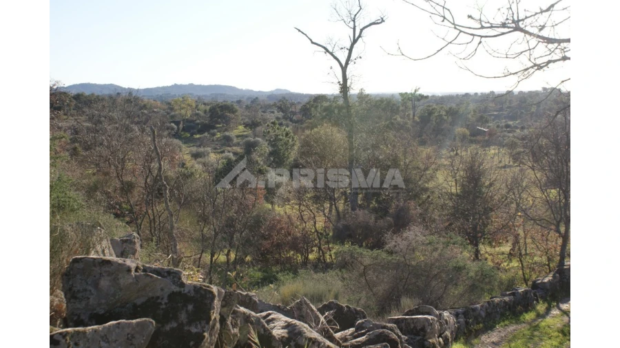 Terreno para Venda em Penamacor Foto 45