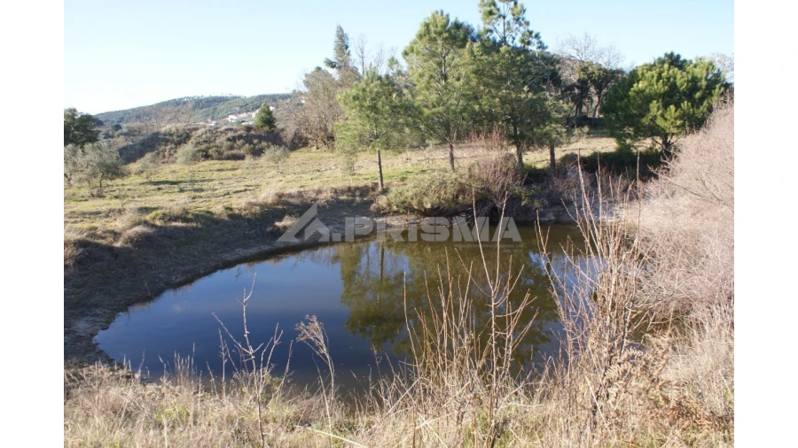 Terreno para Venda em Penamacor Foto 29
