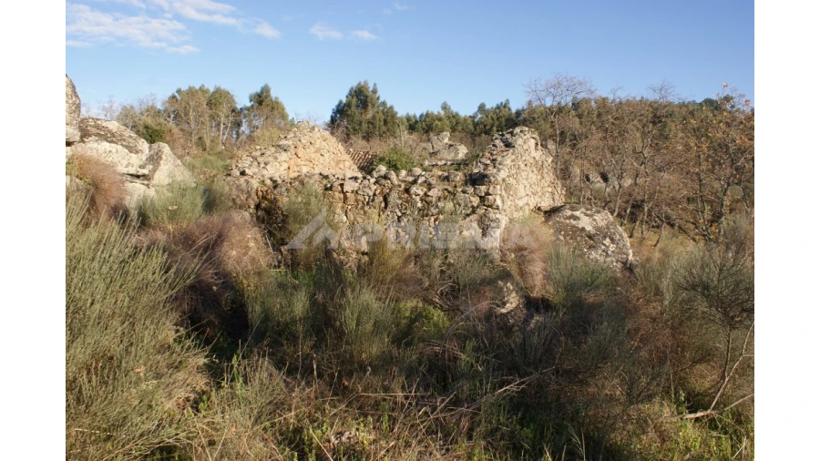 Terreno para Venda em Penamacor Foto 12
