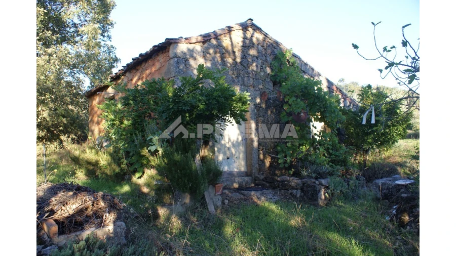 Terreno para Venda em Penamacor Foto 5