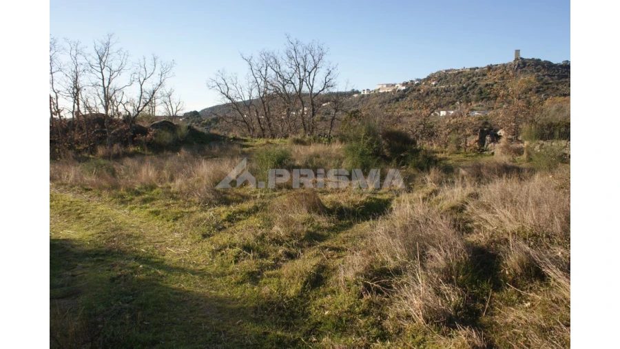 Terreno para Venda em Penamacor Foto 47