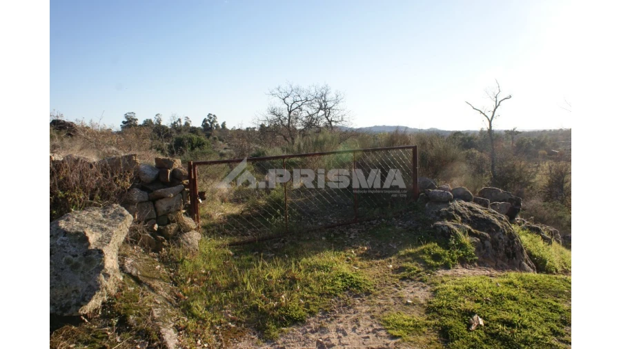 Terreno para Venda em Penamacor Foto 44