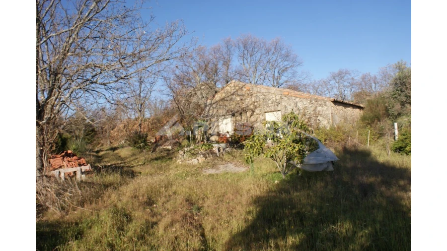 Terreno para Venda em Penamacor Foto 31