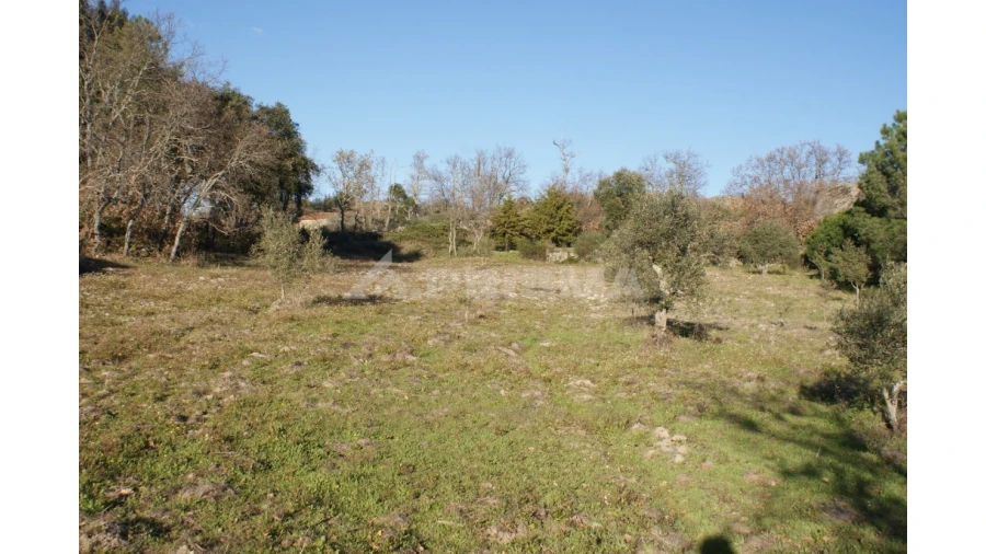 Terreno para Venda em Penamacor Foto 40