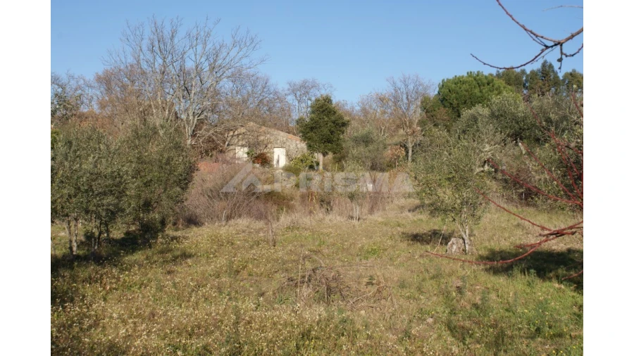 Terreno para Venda em Penamacor Foto 39