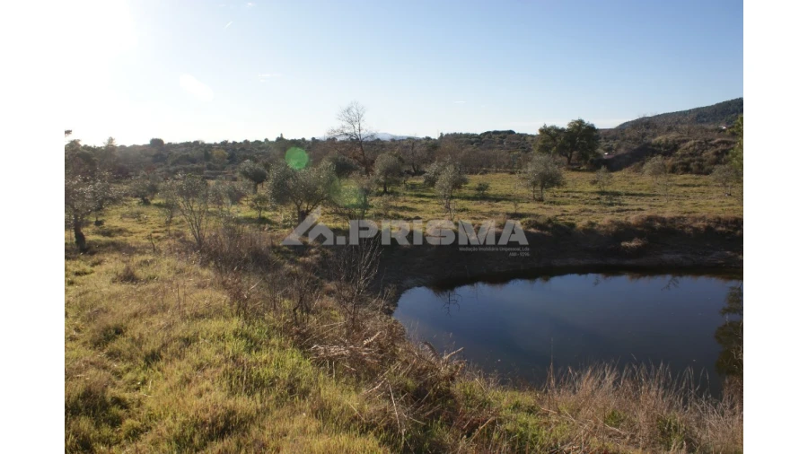 Terreno para Venda em Penamacor Foto 34