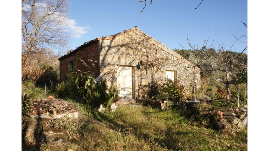 Terreno para Venda em Penamacor Foto 32