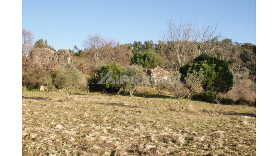 Terreno para Venda em Penamacor Foto 42