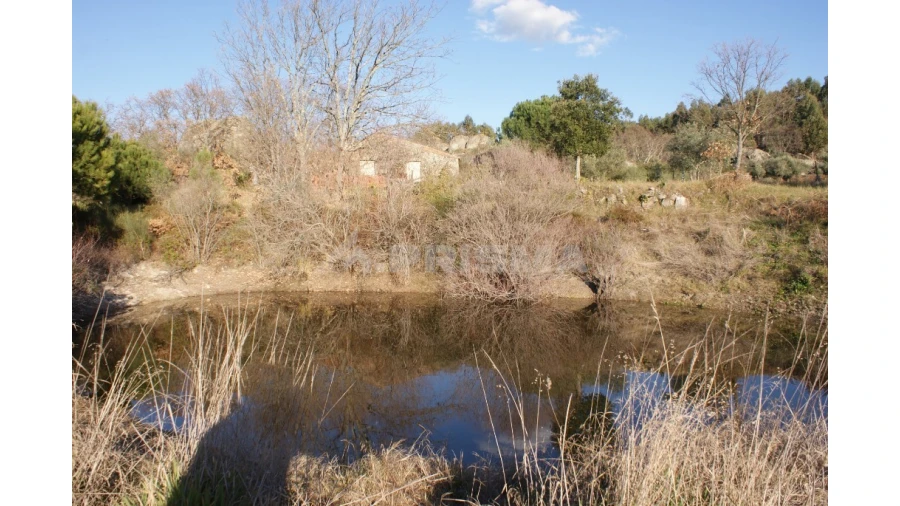 Terreno para Venda em Penamacor Foto 26