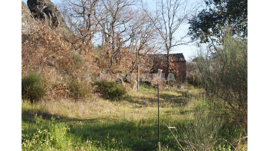Terreno para Venda em Penamacor Foto 43