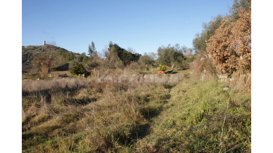 Terreno para Venda em Penamacor Foto 37