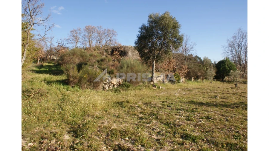Terreno para Venda em Penamacor Foto 22