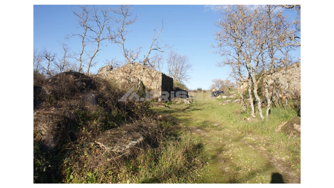 Terreno para Venda em Penamacor Foto 15