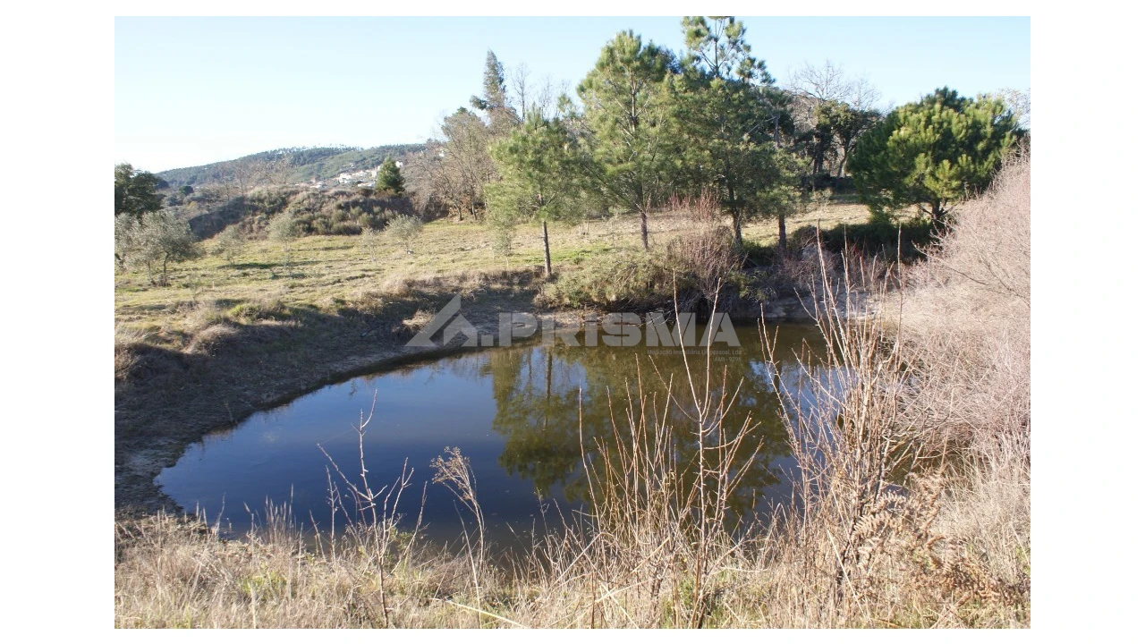 Terreno para Venda em Penamacor Foto 29