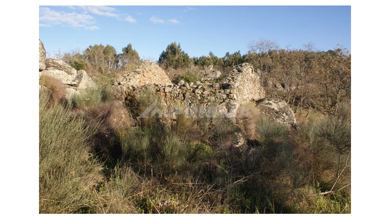 Terreno para Venda em Penamacor Foto 12
