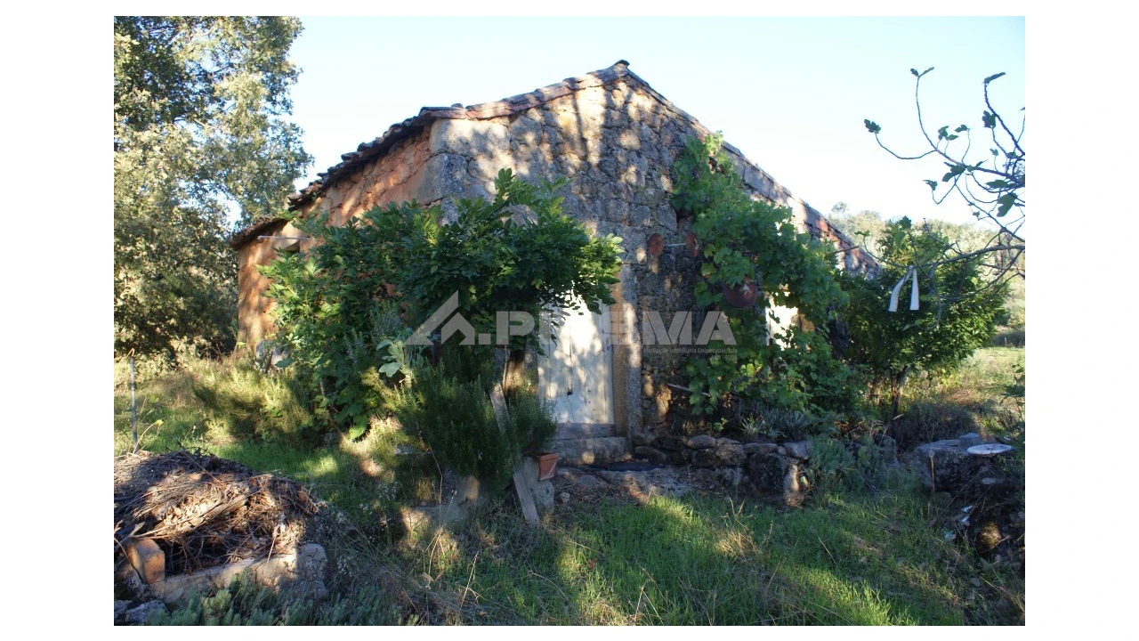 Terreno para Venda em Penamacor Foto 5