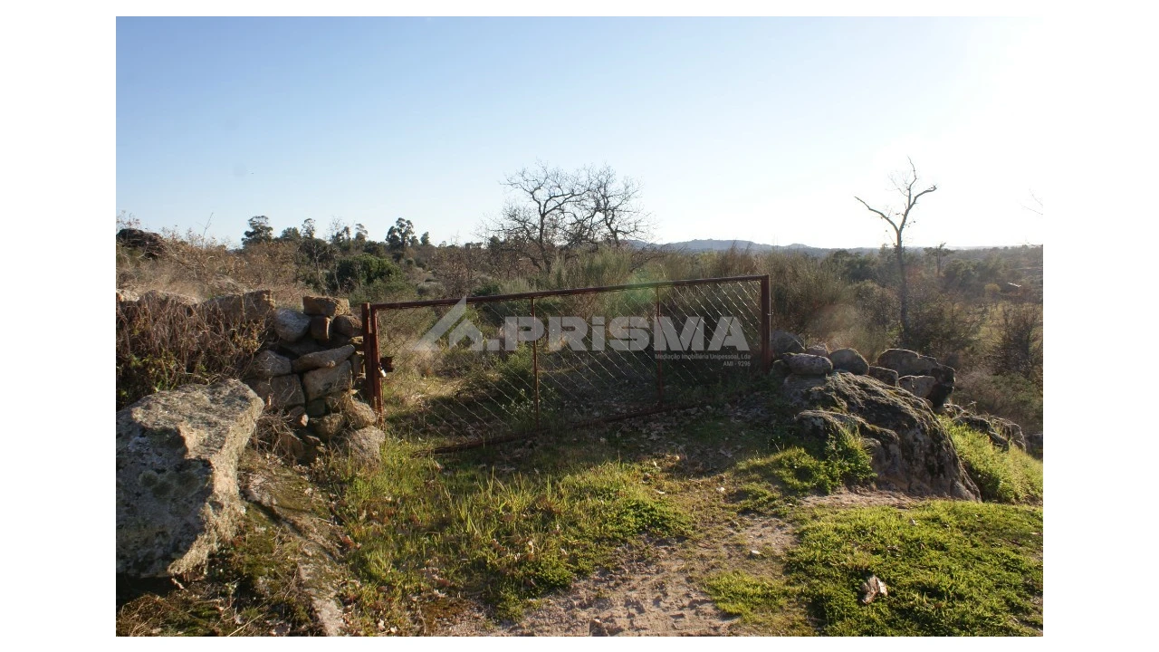 Terreno para Venda em Penamacor Foto 44