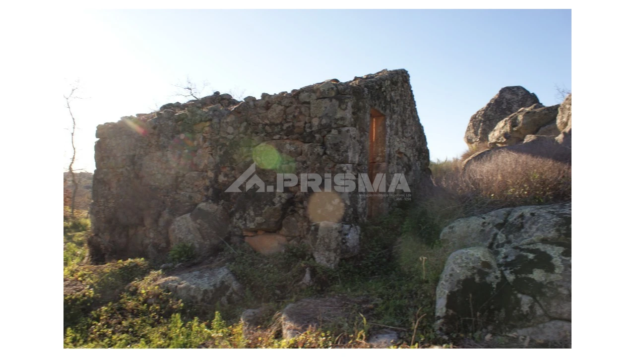 Terreno para Venda em Penamacor Foto 9
