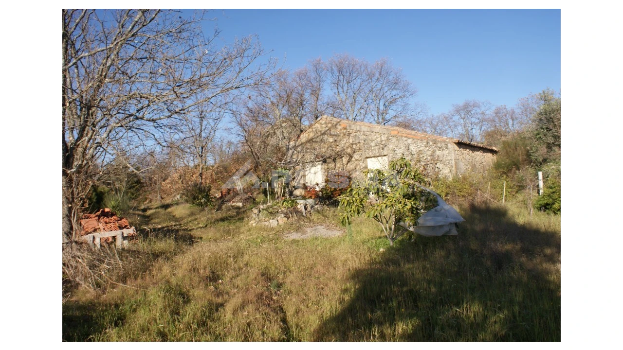 Terreno para Venda em Penamacor Foto 31