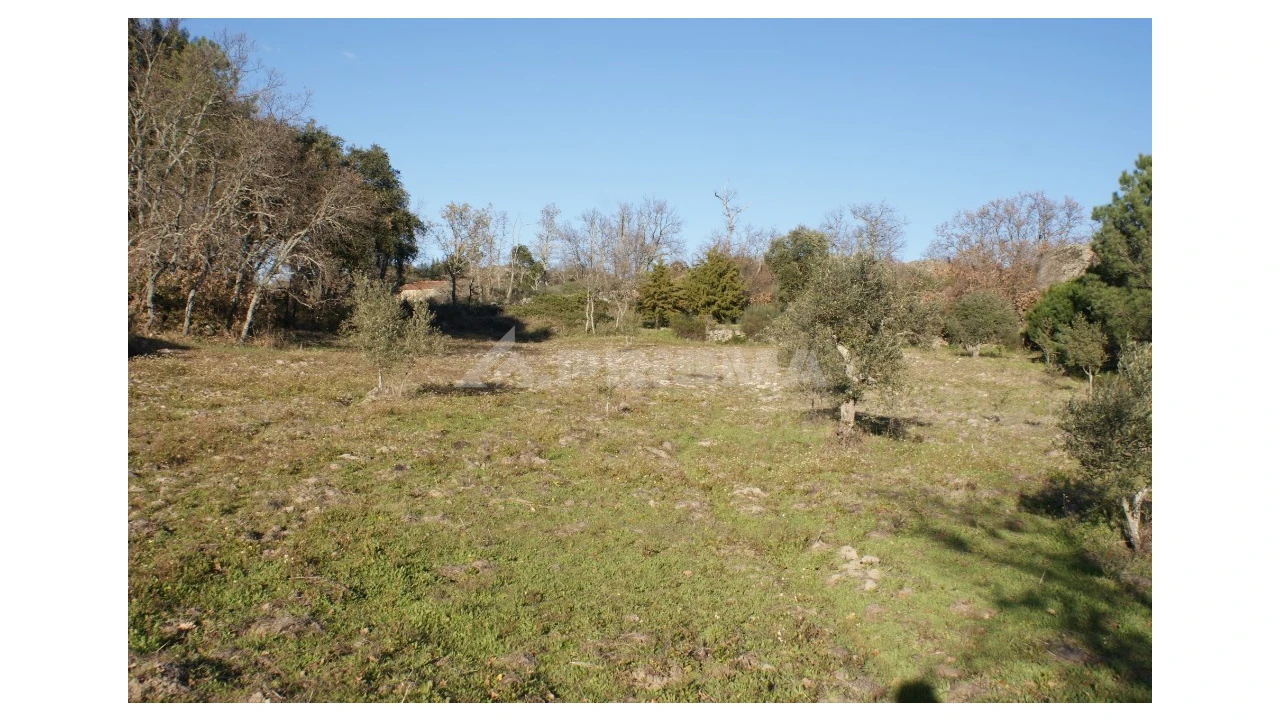 Terreno para Venda em Penamacor Foto 40